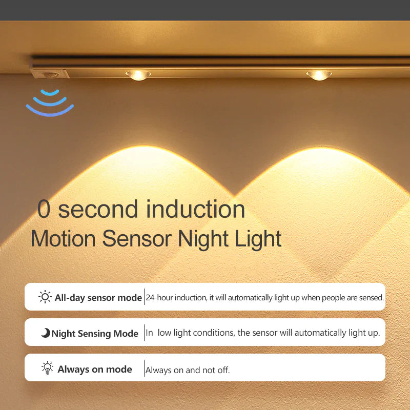 Luminaire - Motion Sensor Light